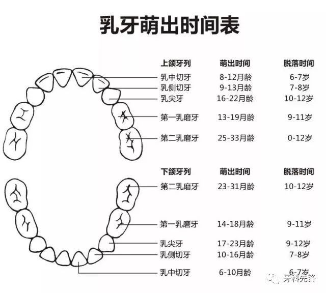 奶瓶性龋齿怎么办