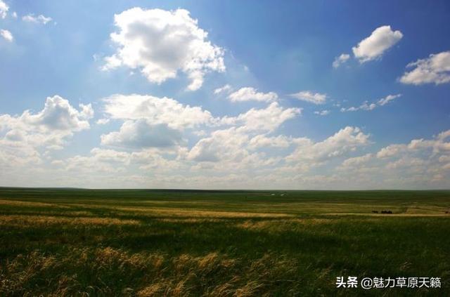 草原 排名_草原手机壁纸(2)