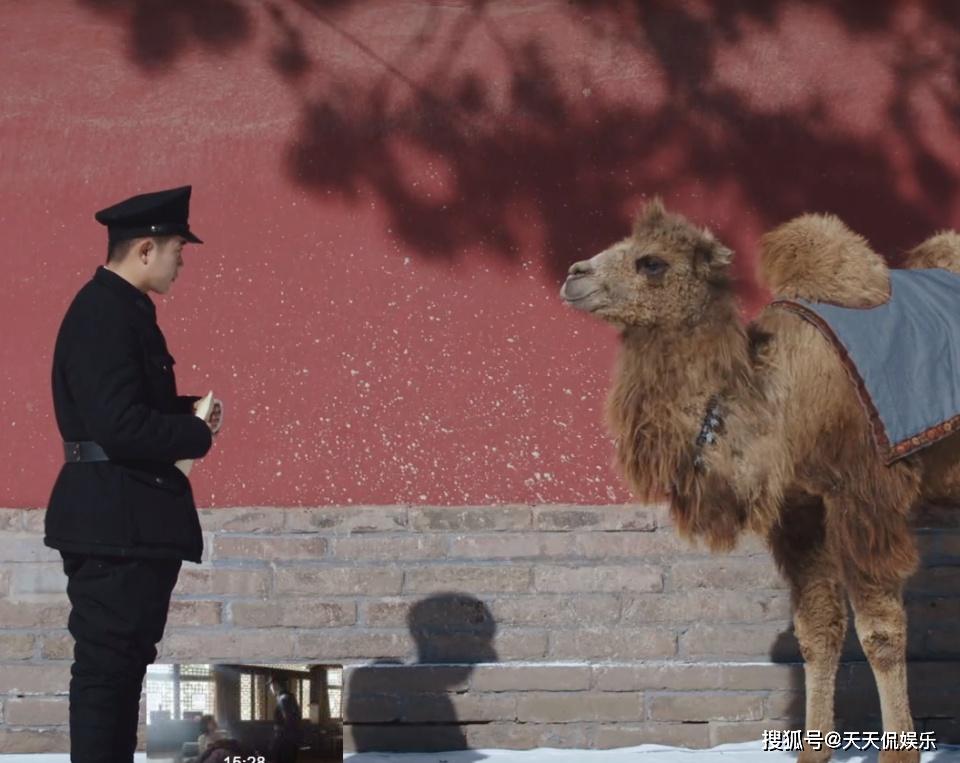 《新世界》：小红袄是谁？终于实锤，原来就是看似人畜无伤的十七