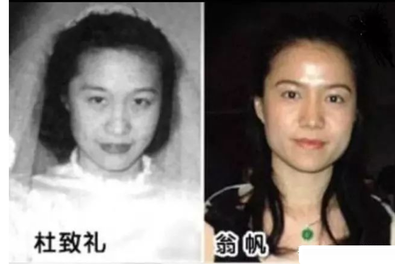 杨振宁的第一段爱情竟然是天作之合
