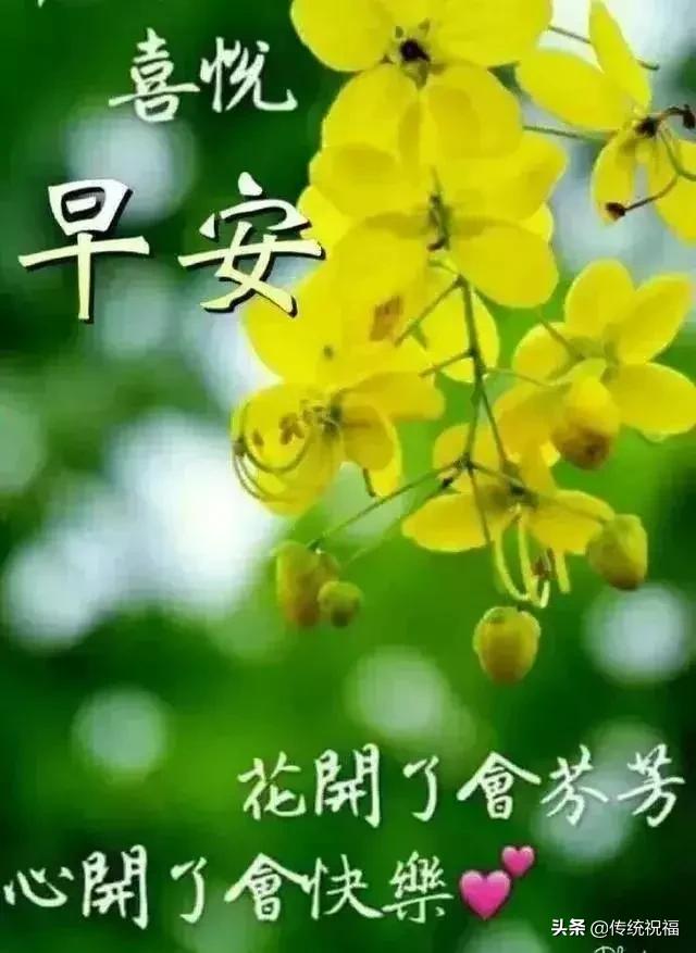 因为善良,所以选择原谅;因为涵养,所以甘愿包容,早安