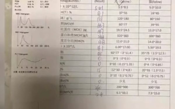 一家三口遭酒店乱收费:隔离14天交6000元!最初承诺:政府买单