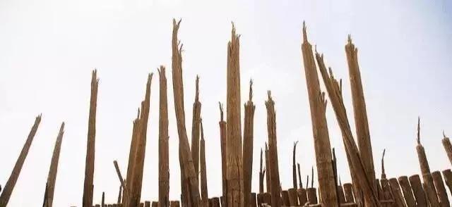 罗布泊|罗布泊隐藏三千年的秘密终于揭开！荒漠中，发现绝世沙墓