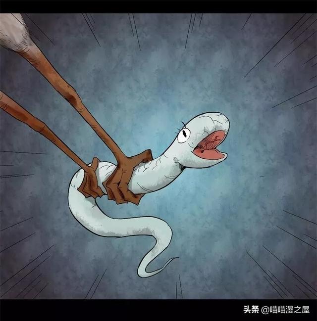 漫画:猎人海力布的传说