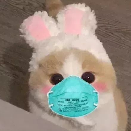 怎么给图片加口罩 ada029674a6446cdb98873de7081bd14.jpeg