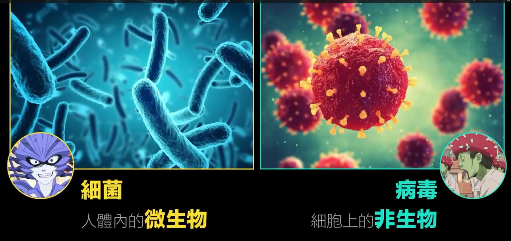 病毒和细菌的区别是什么?