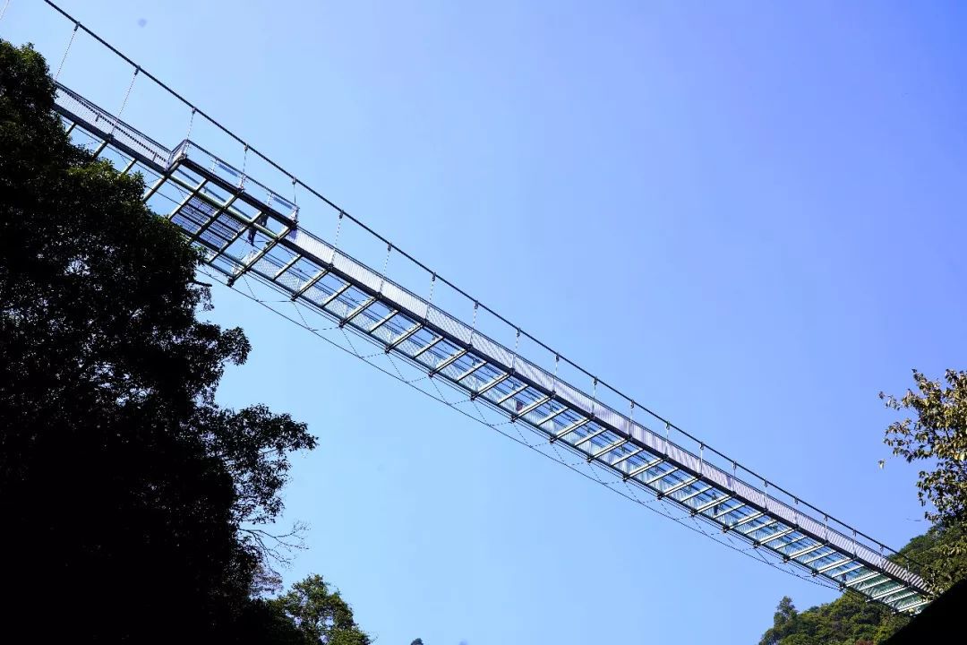 体验玻璃桥的心跳跳动