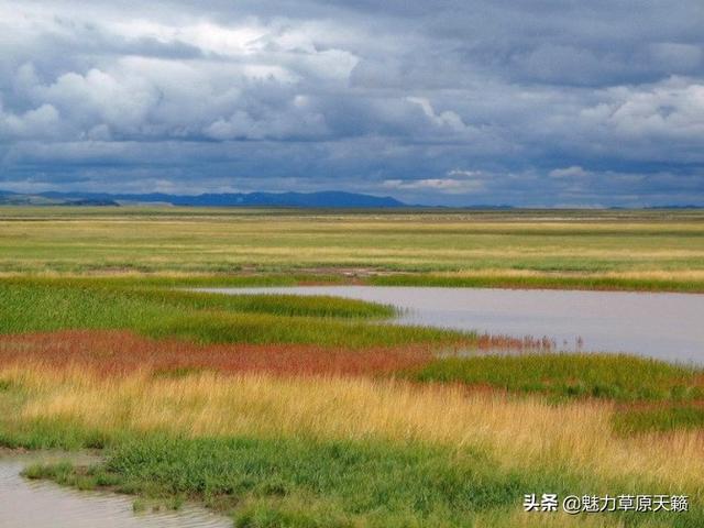 草原 排名_草原手机壁纸