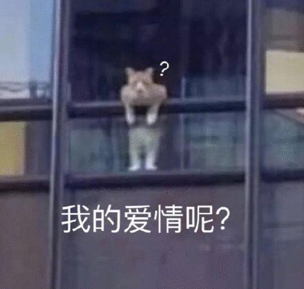 c80f33b60b9e40cdbf8b1006afb28857.jpeg