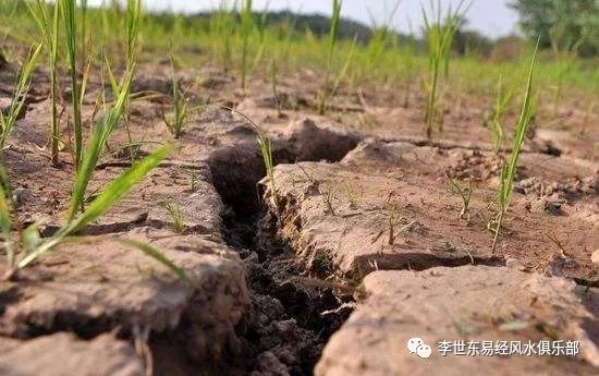 李世东：2021年将是百年一遇极端异常高温干旱之年