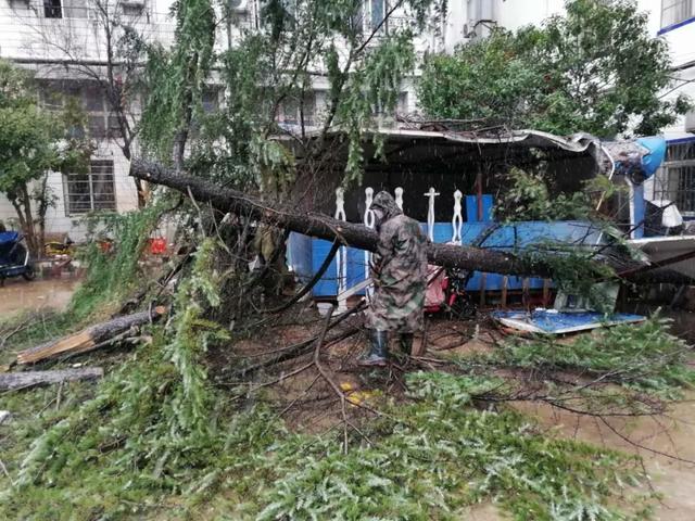 东西湖区各街道gdp_东西湖区街道地图(2)