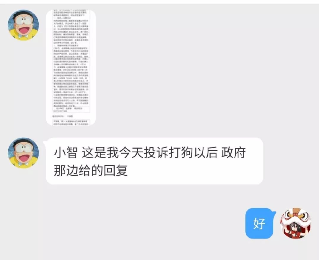 疫情下的小狗，被活活打死前的30秒 寵物 第1張