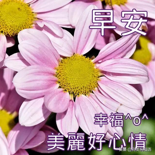 d84db8a619d047b7ba6049a12bb972dd.jpeg