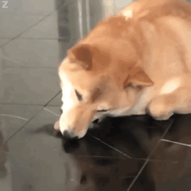 dbabbe46b9f5424fbc85fdf36e89f17b.gif