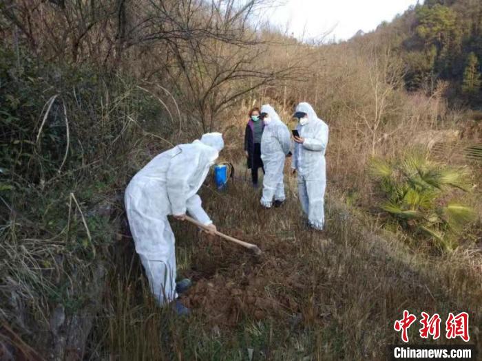 宜昌疫情死了多少人