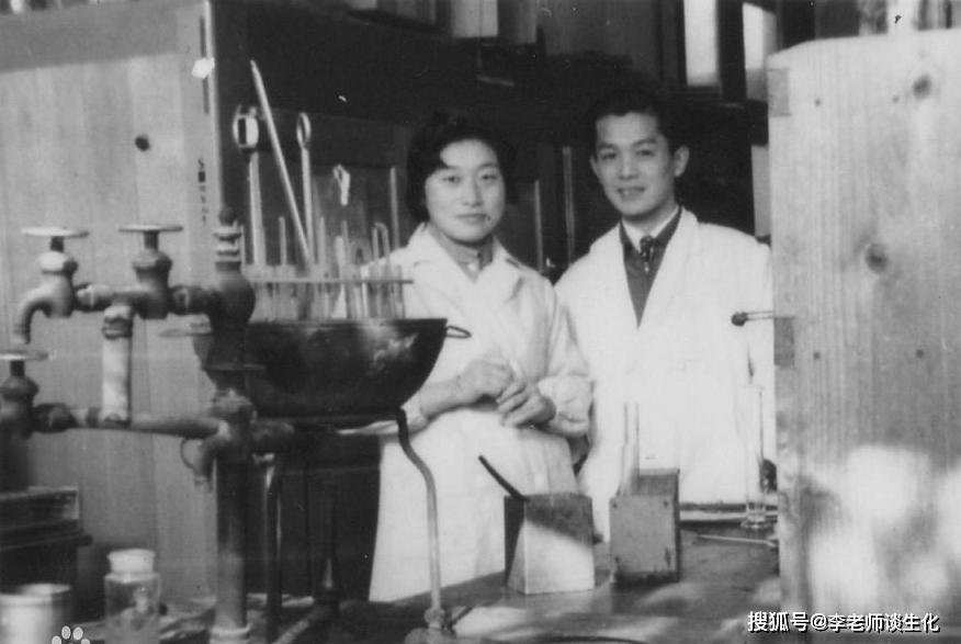 冈崎令治与DNA的半不连续复制搜狐大视野搜狐新闻