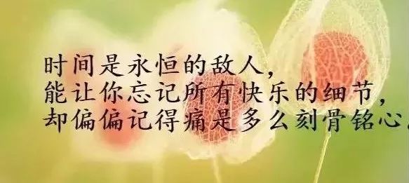 人海相遇简谱_茫茫人海相遇图片(3)