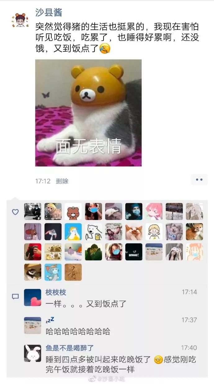 08f9da13411a41acbdf99c26f6e14496.jpeg