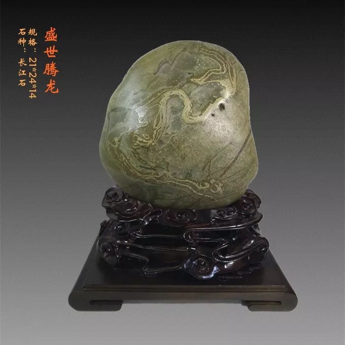 藏家:陈常胜 好彩头 规格:15×12×11cm 石种:长江石 藏家:陈常胜 诸