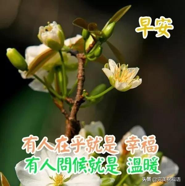 星期天早安送朋友简单问候祝福语句,微信发朋友圈的精美祝福图片