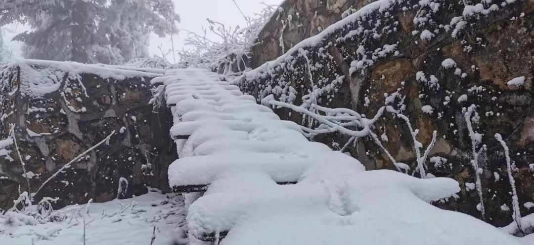▼▼▼井冈山的雪是这样的瑞昌市横立山乡(拍摄人:詹昊)▼▼▼瑞昌