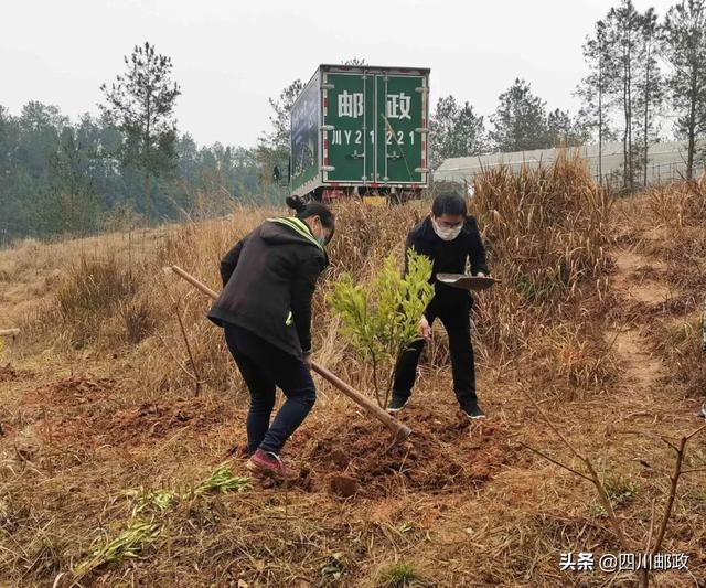 农业技术员招聘_愚人节 育碧诚招农业技术员 急招职位月薪面议(5)