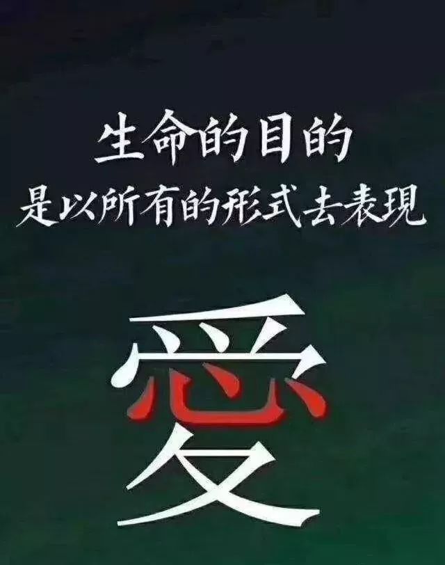 活着无需万人疼,只需一人惜和懂