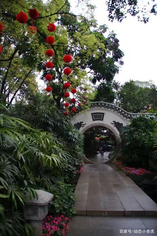 广州的兰圃公园真的很漂亮,值得一去