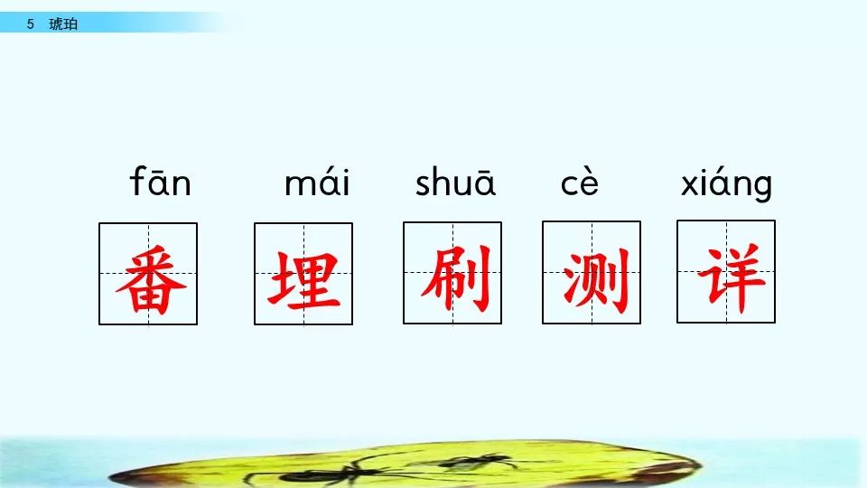 微课堂丨部编语文四年级(下)《琥珀》教学视频,知识点