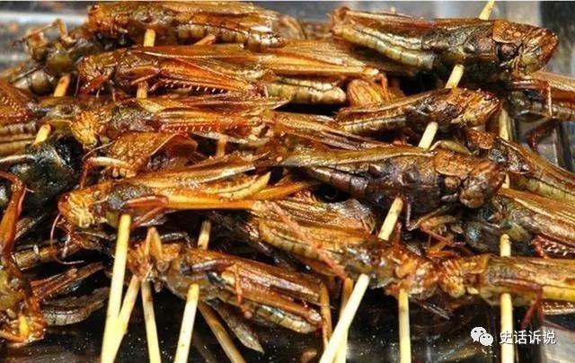 古代|古代每隔几年都会爆发的天灾，只要出现，就会爆发粮食短缺危机