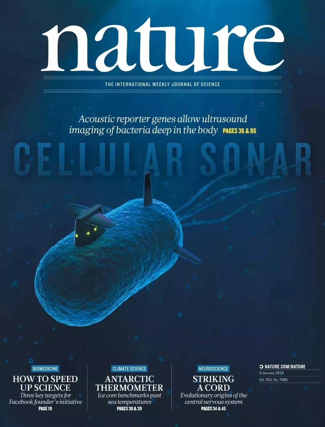 《nature》子刊:新冠病毒的防治手段包括疫苗,寡肽,肽