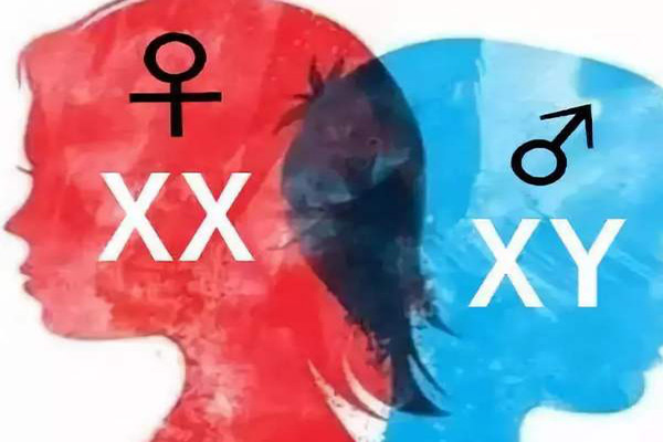 2020备孕表清宫图 2020备孕表清宫图怎么看