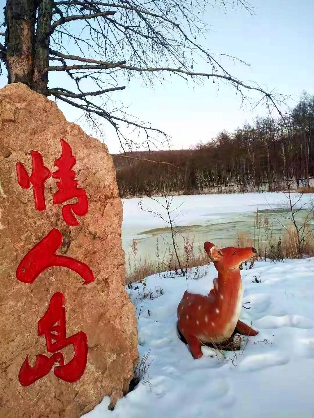阿里河相思谷 送给你我最好的相思