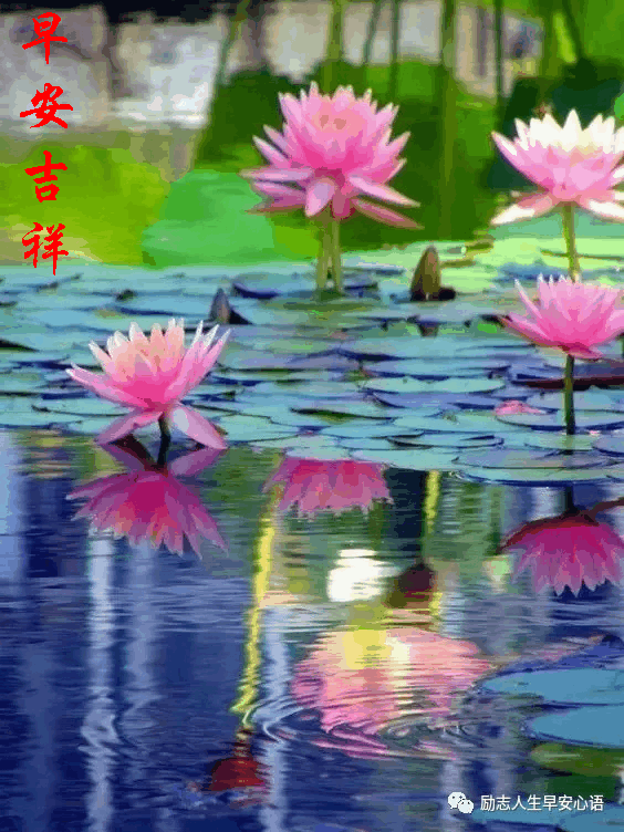 26115周末愉快早安30心语