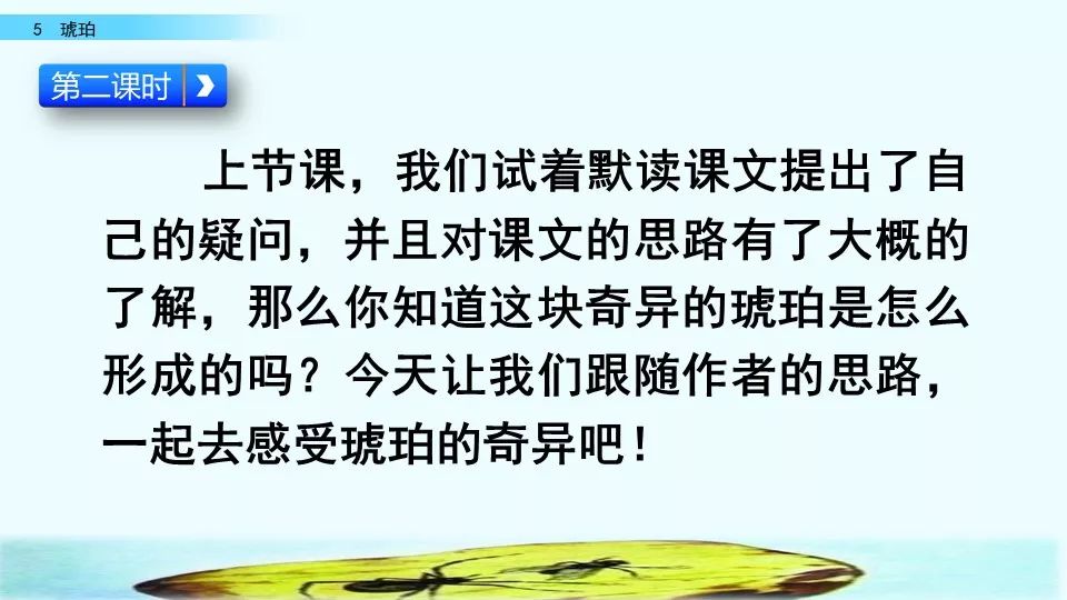 微课堂丨部编语文四年级下琥珀教学视频知识点练习