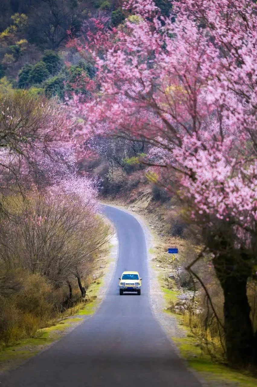 【每日美图欣赏】透过风景,洗净心灵.