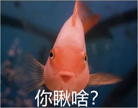 be5486e26fd6468590b67110572bc0df.jpeg