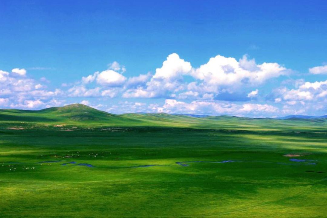 大草原排名_呼伦贝尔大草原图片