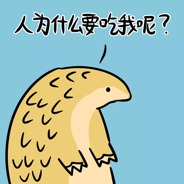 怎么让自己看起来很和善 d057d8867dd34f16bb920ceed8d10de1.jpeg
