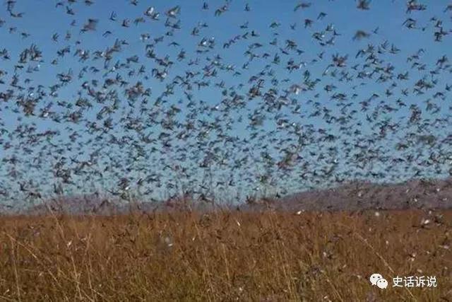 古代|古代每隔几年都会爆发的天灾，只要出现，就会爆发粮食短缺危机