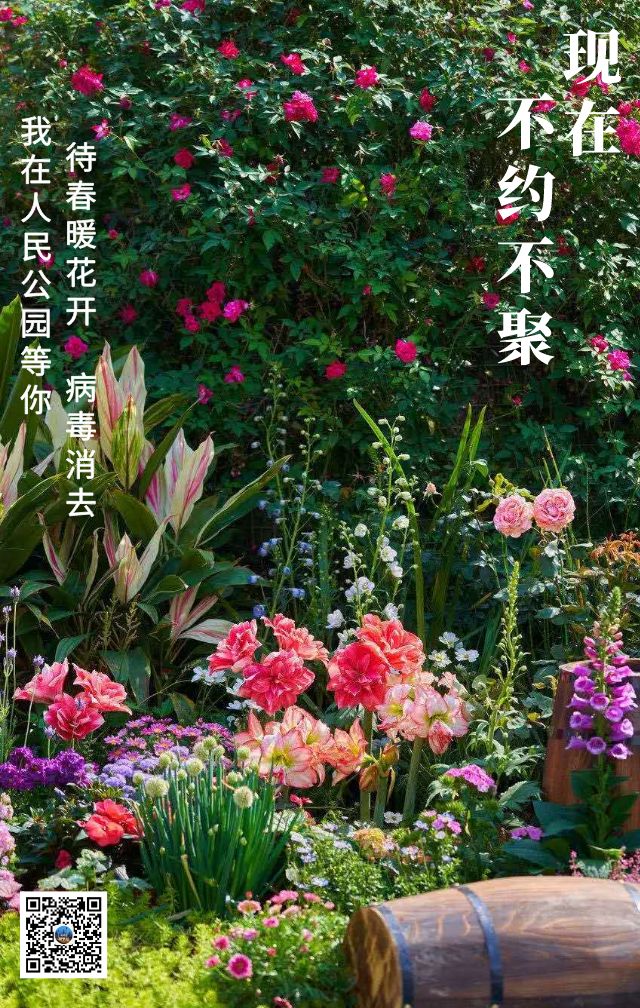 待春暖花开,再一起看最美的风景!_公园