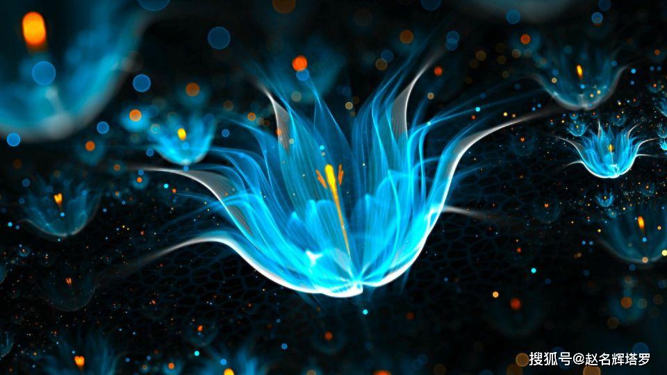 赵名辉塔罗占卜:2020年你的爱情桃花运如何?