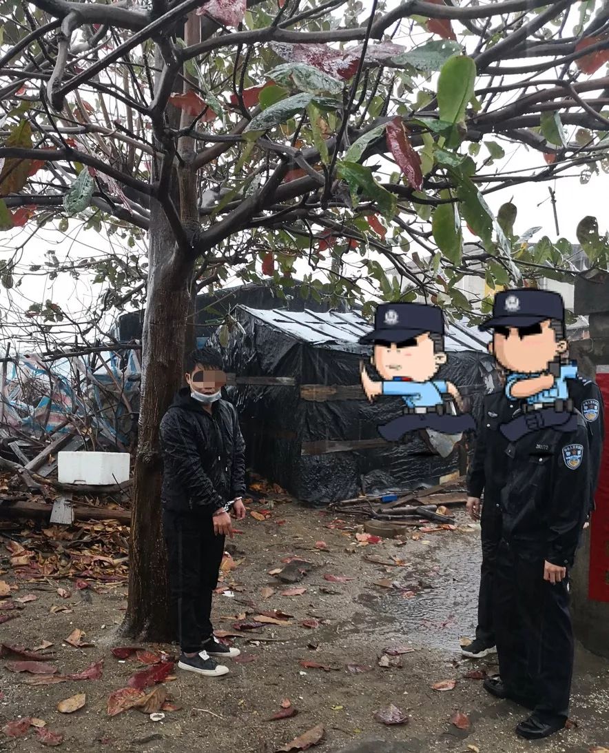 阳西上洋抓获涉赌人员11名刑拘1人行政处罚10人
