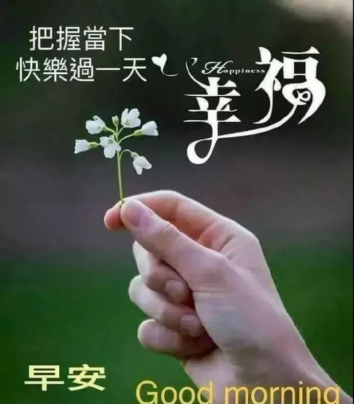 最新早上好问候动态图带字 春天最美早安问候图片带字