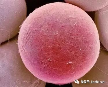 e252f3b019074c38928bf734274263fe.jpeg
