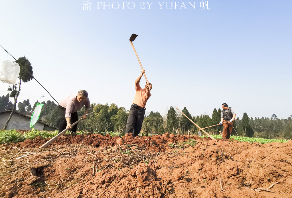 重庆农村的战疫生活，看看闲不住的村民都在做些什么？