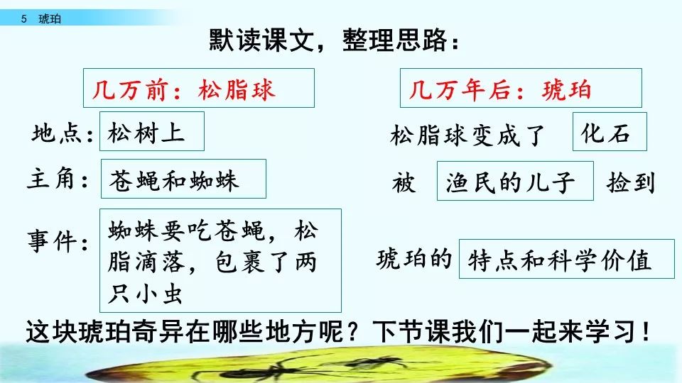 微课堂丨部编语文四年级(下)《琥珀》教学视频,知识点