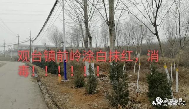 观台镇人口_观台镇岗子窑美女(2)