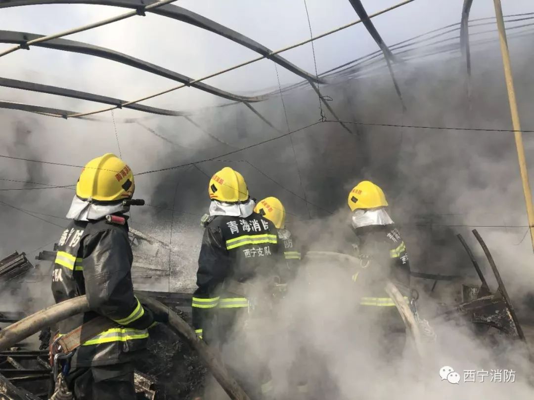 警示丨西宁市一处温室大棚着火烧死30余只鸡鸭