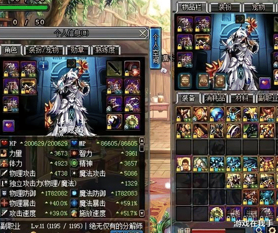 网络游戏最贵的装备 139c92de1f25437c9a4c69eafcf0159d.png